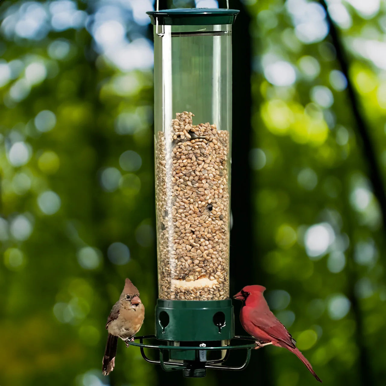 Hanging Bird Feeder Metal Cage Design for Outdoor Gardens
